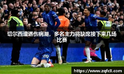 bsports官网入口
