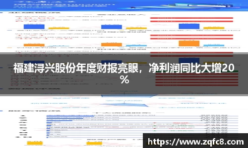 福建浔兴股份年度财报亮眼，净利润同比大增20%