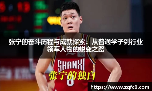 bsports官网入口