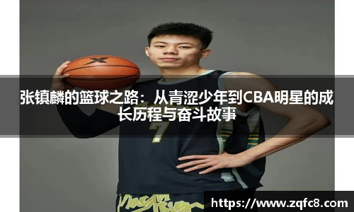 B体育bsports