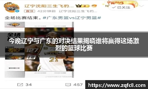 bsports官网入口