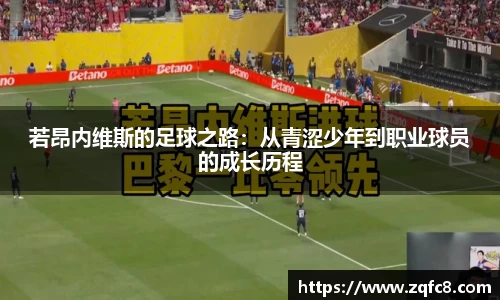 bsports官网入口