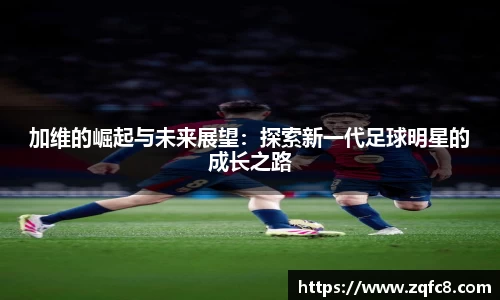 B体育bsports