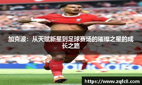bsports官网入口