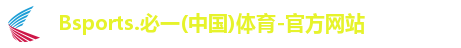 B体育官网